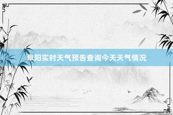 阜阳实时天气预告查询今天天气情况